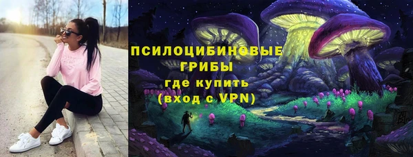 MESCALINE Аркадак