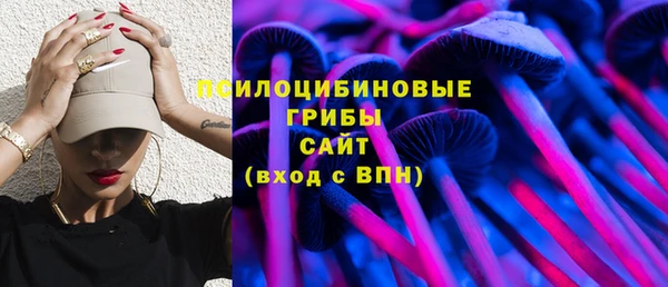 MESCALINE Аркадак