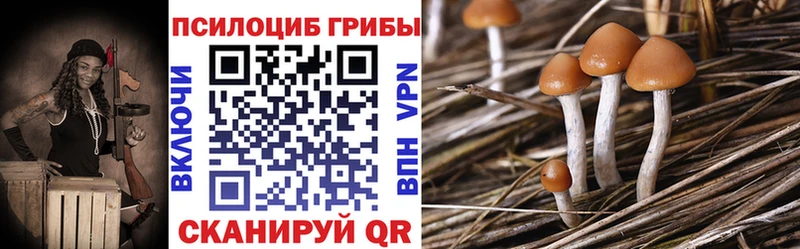 Псилоцибиновые грибы мицелий  Орёл 